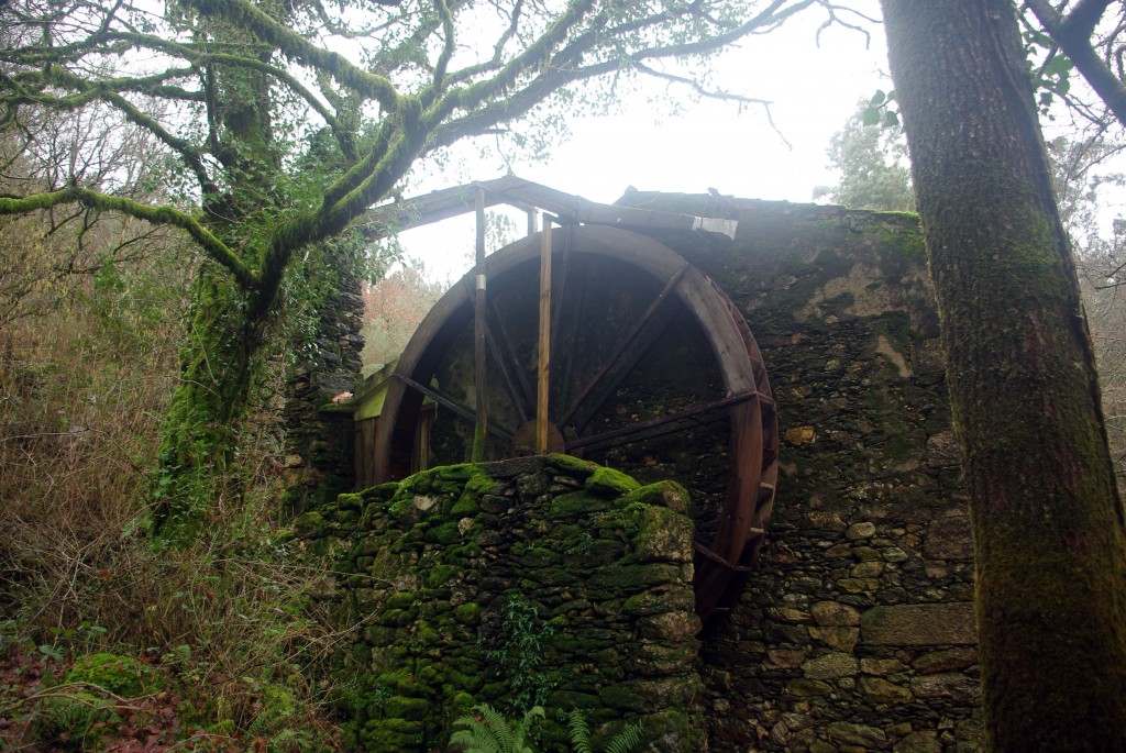 Foto: Serra do Suido - Covelo (Pontevedra), España