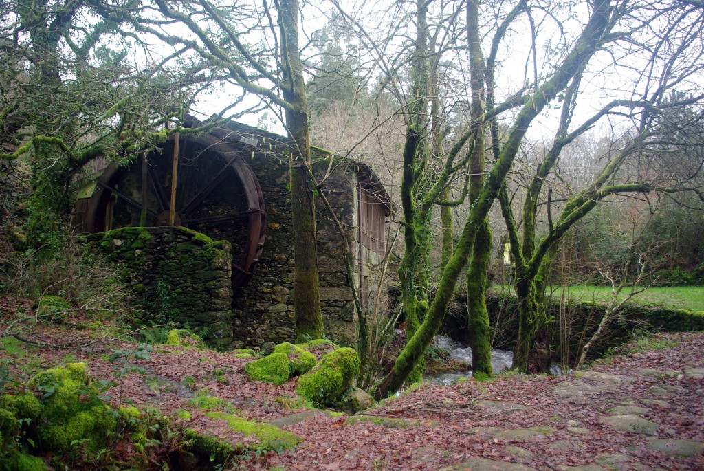 Foto: Serra do Suido - Covelo (Pontevedra), España