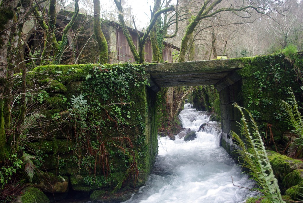 Foto: Serra do Suido - Covelo (Pontevedra), España