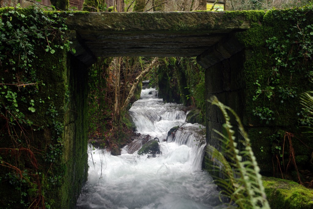 Foto: Serra do Suido - Covelo (Pontevedra), España