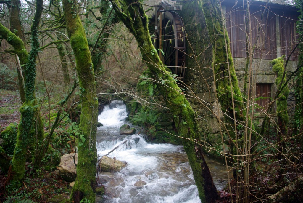 Foto de Covelo (Pontevedra), España