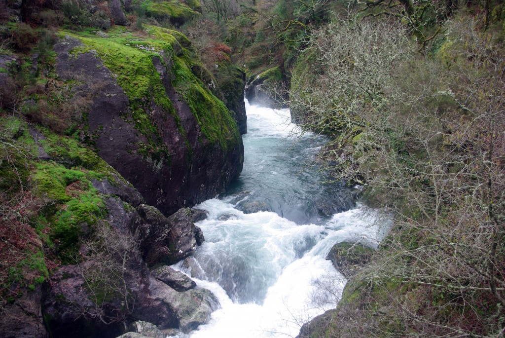 Foto de Covelo (Pontevedra), España