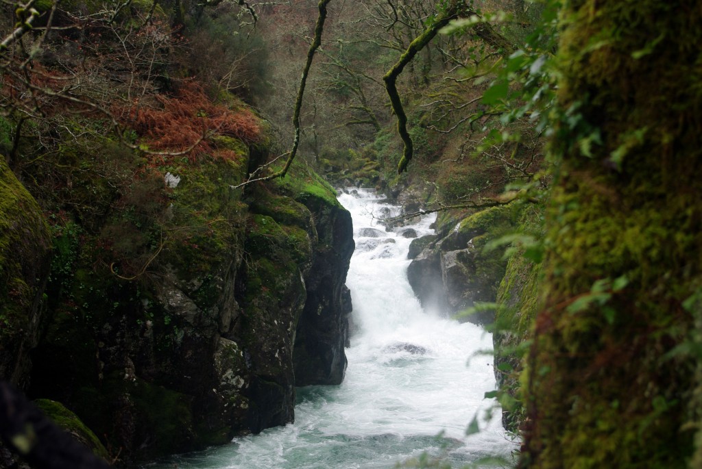 Foto de Covelo (Pontevedra), España