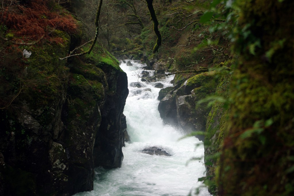 Foto de Covelo (Pontevedra), España