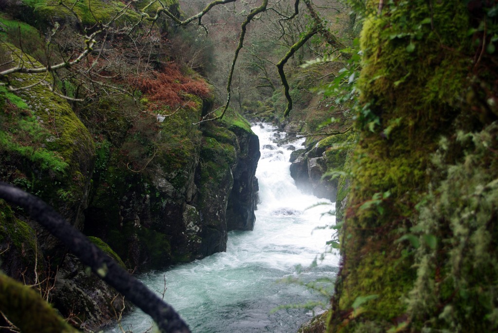 Foto de Covelo (Pontevedra), España