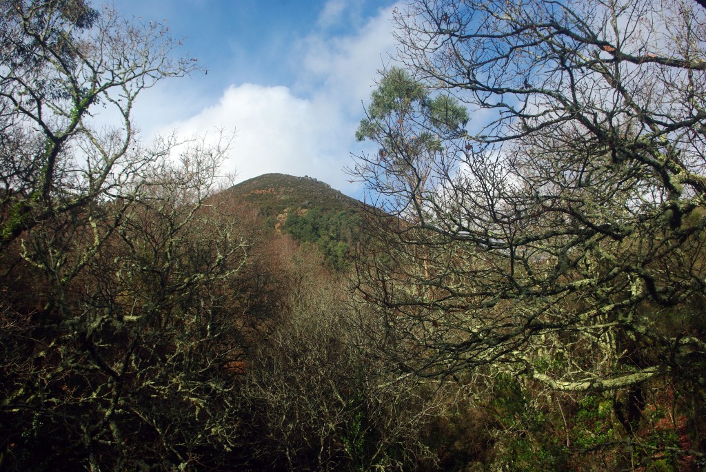Foto de Covelo (Pontevedra), España