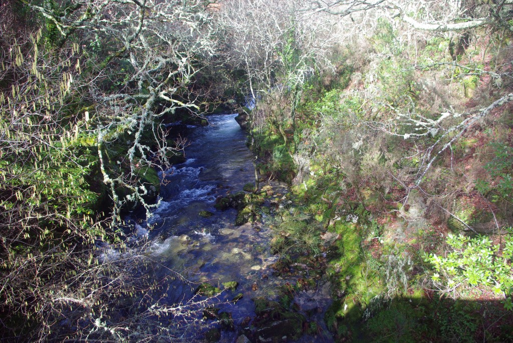 Foto de Covelo (Pontevedra), España