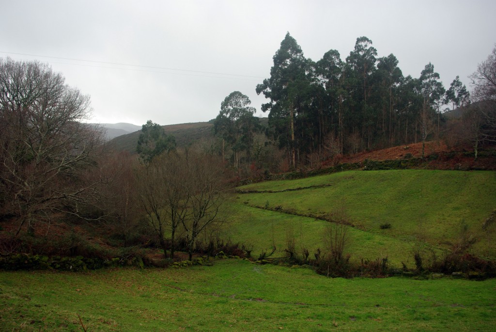Foto de Fornelos de Montes (Pontevedra), España