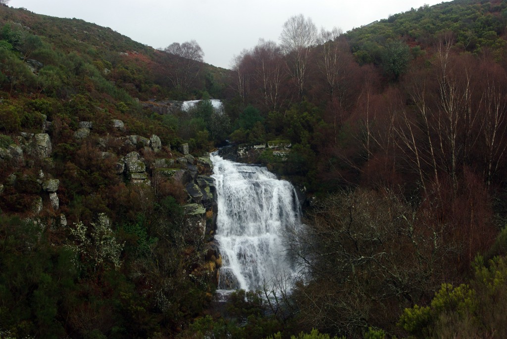 Foto de Fornelos de Montes (Pontevedra), España