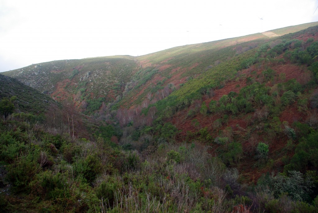 Foto de Fornelos de Montes (Pontevedra), España