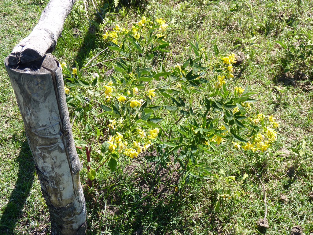 Foto: Reserva Urbana del Pilar - Pilar (Buenos Aires), Argentina