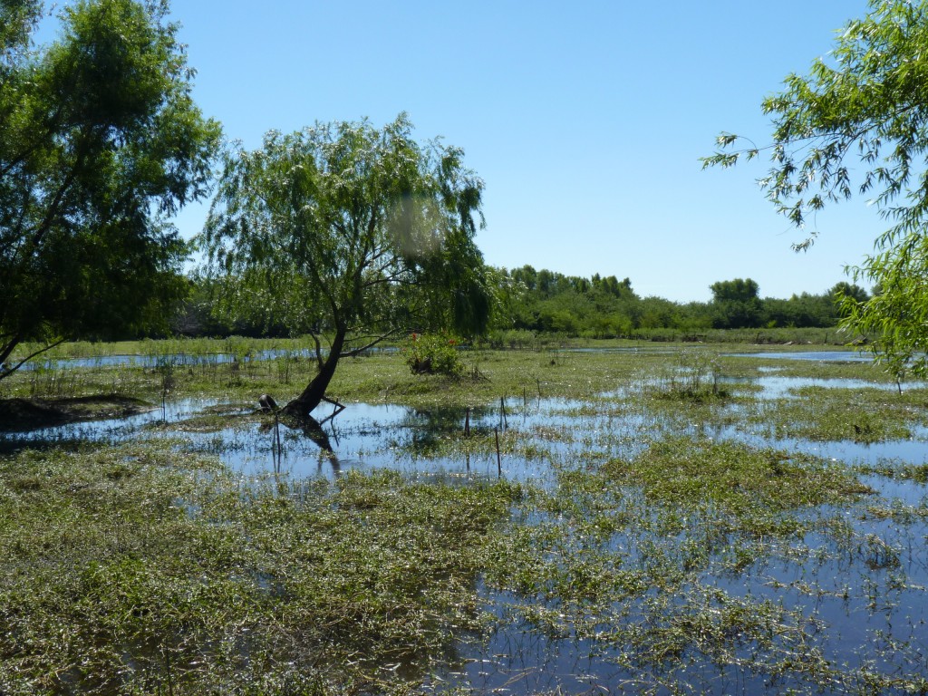 Foto: Reserva Urbana del Pilar - Pilar (Buenos Aires), Argentina