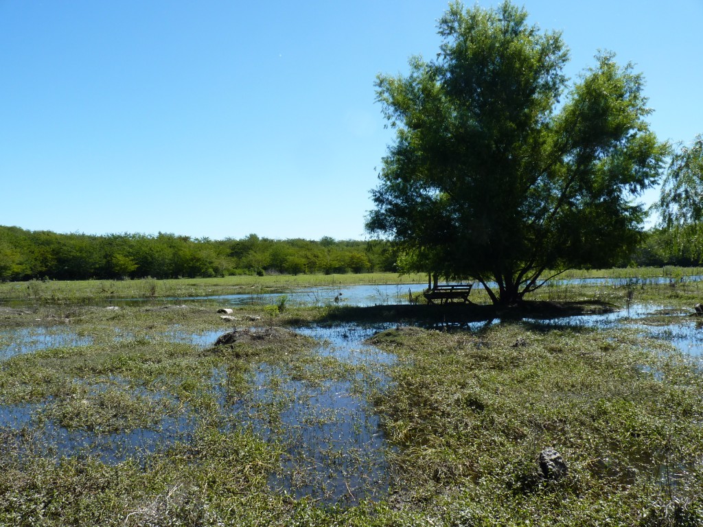 Foto: Reserva Urbana del Pilar - Pilar (Buenos Aires), Argentina