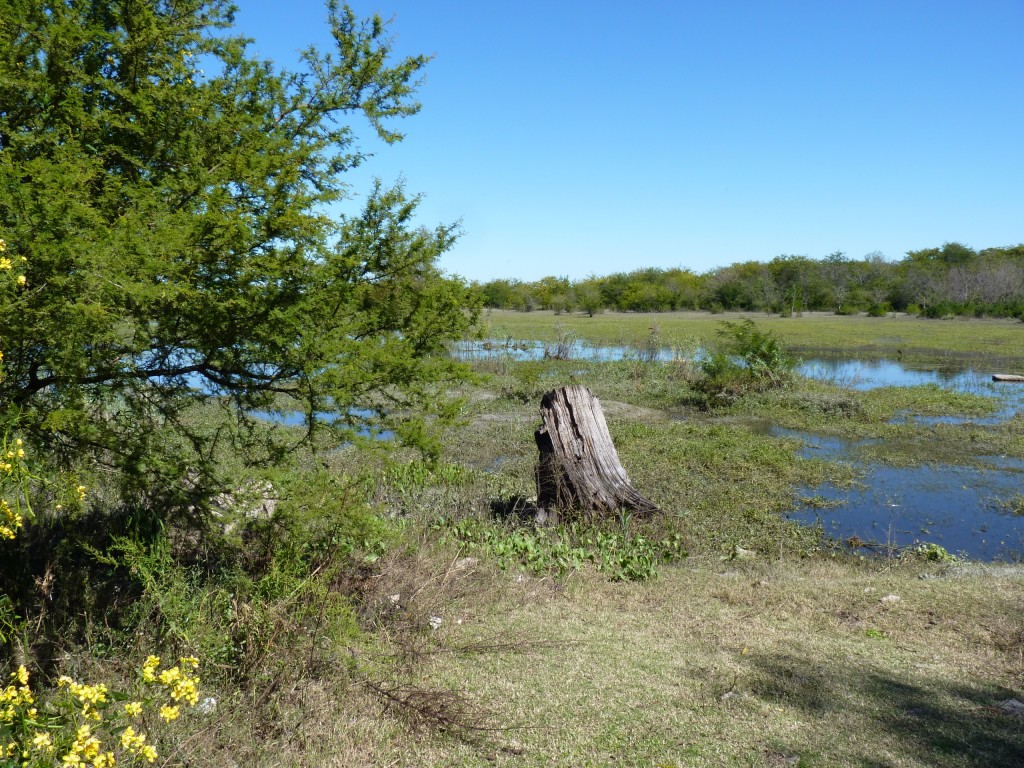 Foto: Reserva Urbana del Pilar - Pilar (Buenos Aires), Argentina