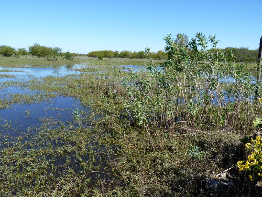 Foto: Reserva Urbana del Pilar - Pilar (Buenos Aires), Argentina