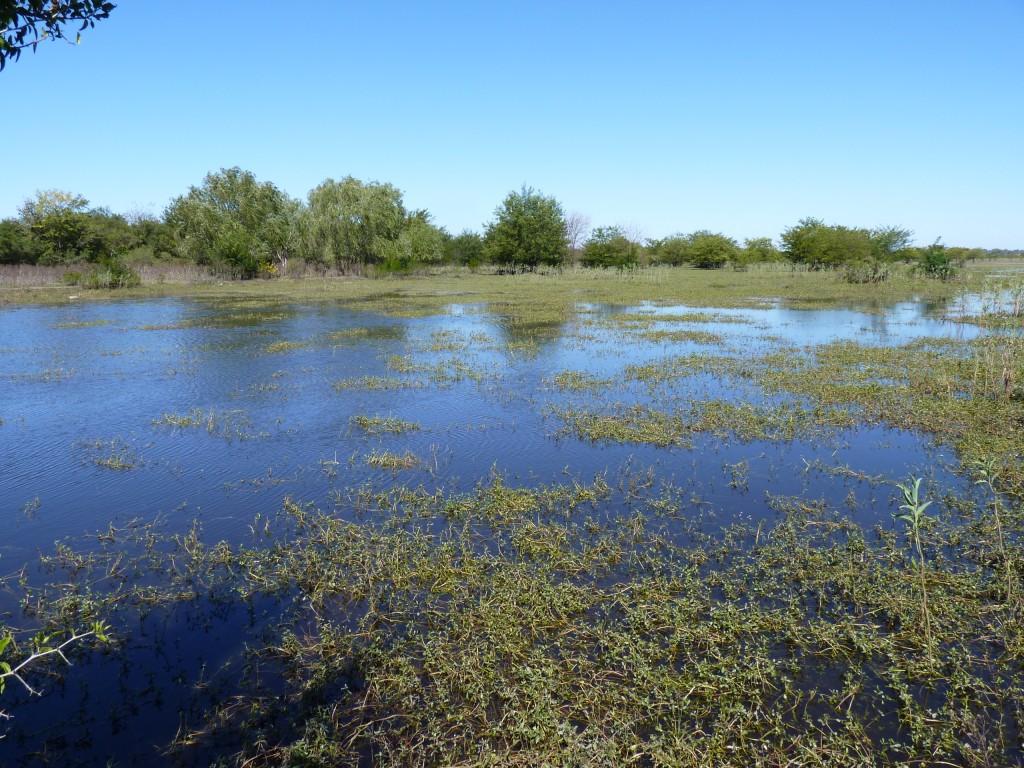 Foto: Reserva Urbana del Pilar - Pilar (Buenos Aires), Argentina