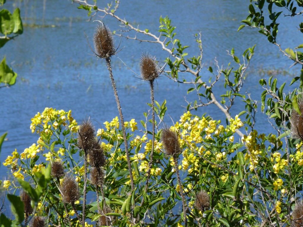 Foto: Reserva Urbana del Pilar - Pilar (Buenos Aires), Argentina