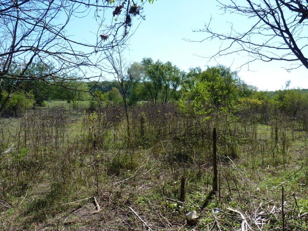 Foto: Reserva Natural del Pilar - Pilar (Buenos Aires), Argentina