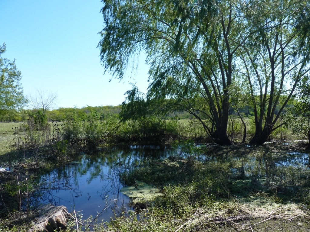 Foto: Reserva Natural del Pilar - Pilar (Buenos Aires), Argentina