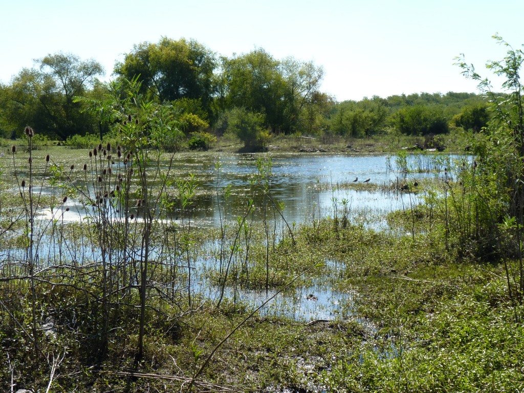 Foto: Reserva Natural del Pilar - Pilar (Buenos Aires), Argentina