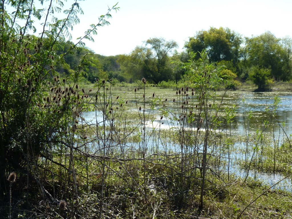 Foto: Reserva Natural del Pilar - Pilar (Buenos Aires), Argentina