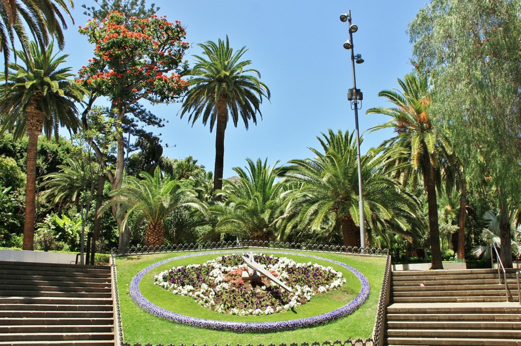 Foto: Parque García Sanabria - Santa Cruz de Tenerife (Las Palmas), España