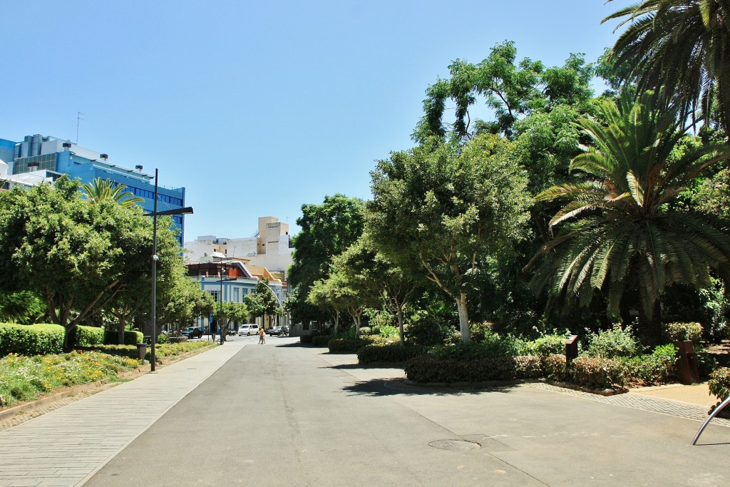 Foto: Parque García Sanabria - Santa Cruz de Tenerife (Las Palmas), España