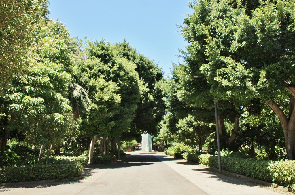 Foto: Parque García Sanabria - Santa Cruz de Tenerife (Las Palmas), España
