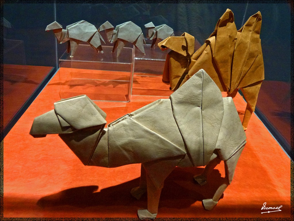 Foto: 140323-57 PAPIROFLEXIA C. HIST. - Zaragoza (Aragón), España