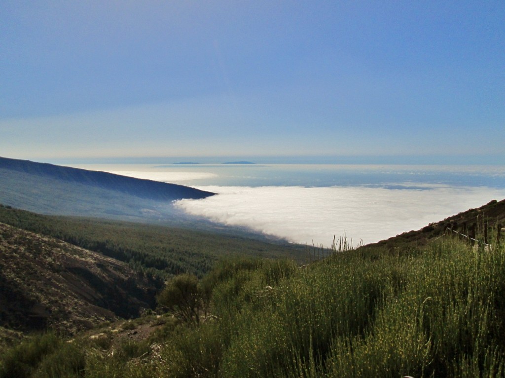 Foto: Mar de nubes - La Orotava (Santa Cruz de Tenerife), España