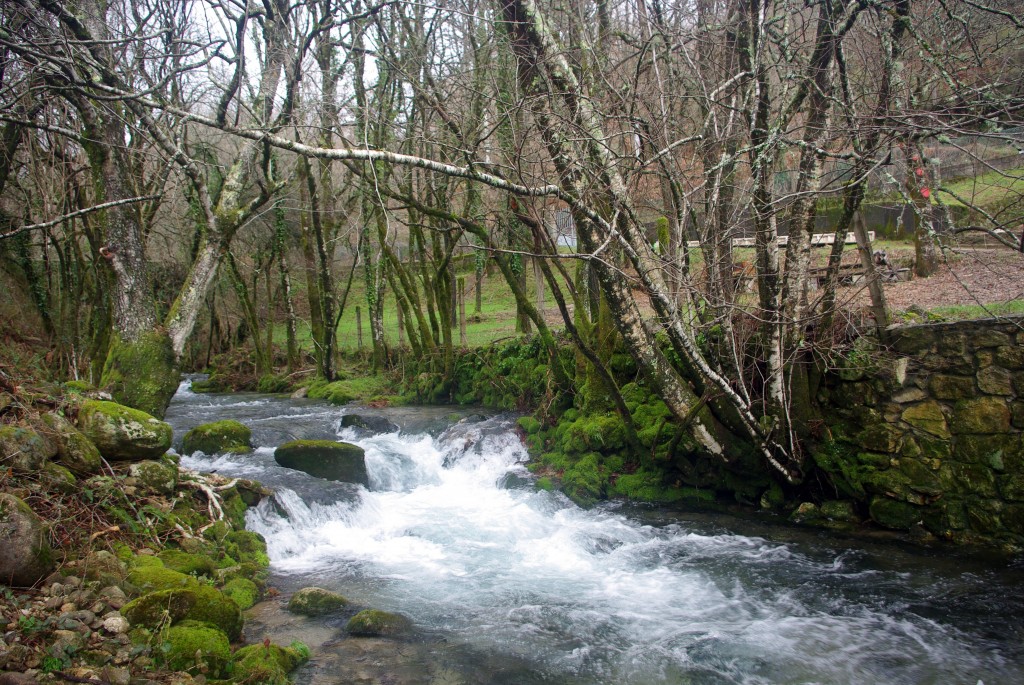 Foto de Covelo (Pontevedra), España