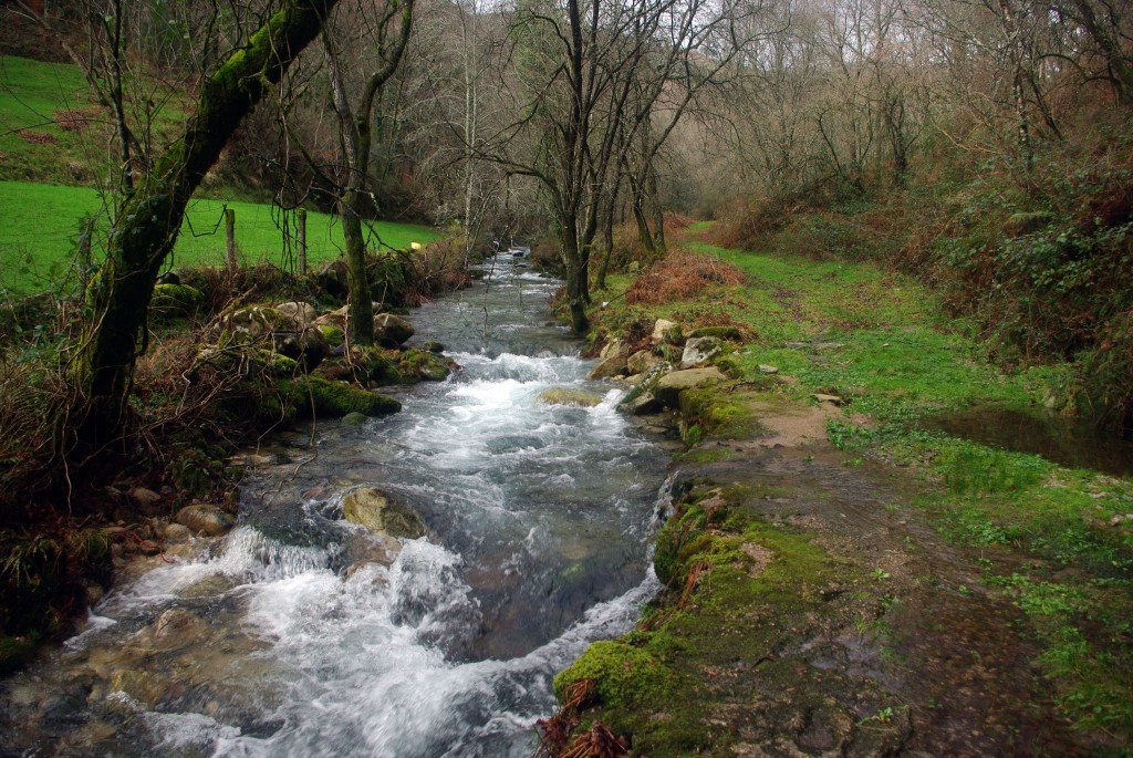 Foto de Covelo (Pontevedra), España