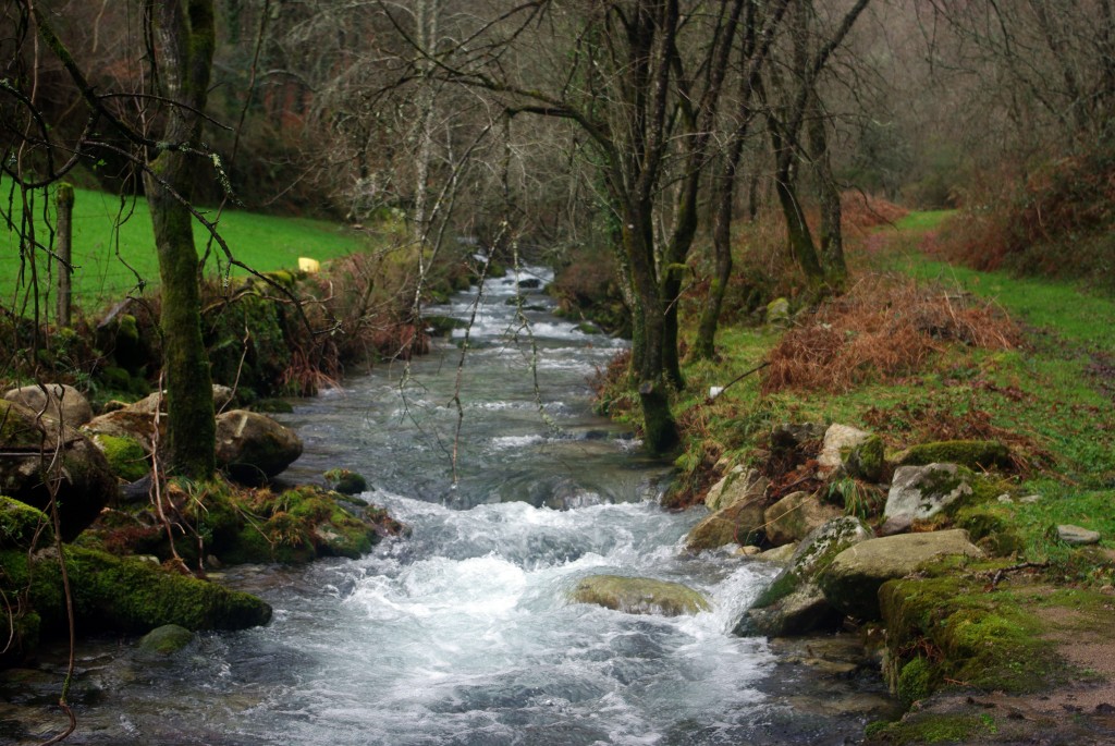 Foto de Covelo (Pontevedra), España