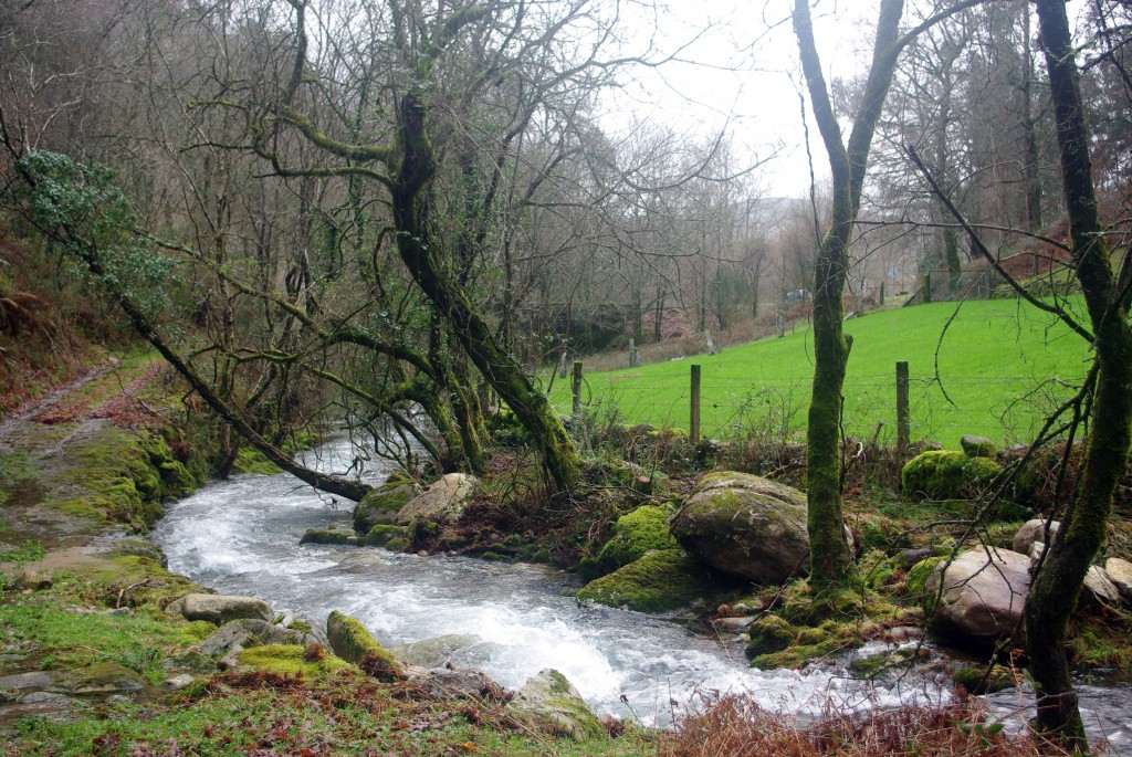 Foto de Covelo (Pontevedra), España