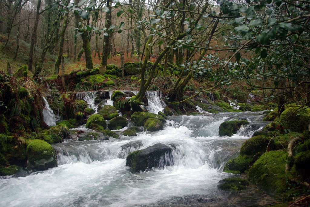 Foto de Covelo (Pontevedra), España