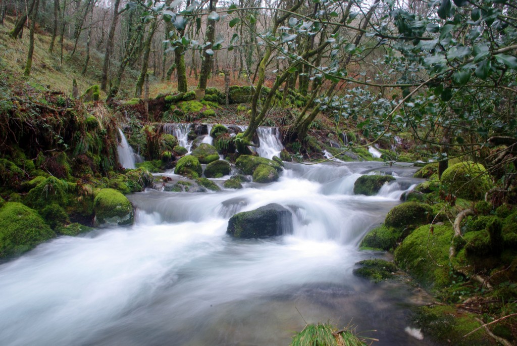 Foto de Covelo (Pontevedra), España
