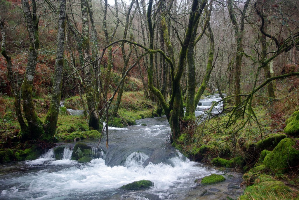 Foto de Covelo (Pontevedra), España