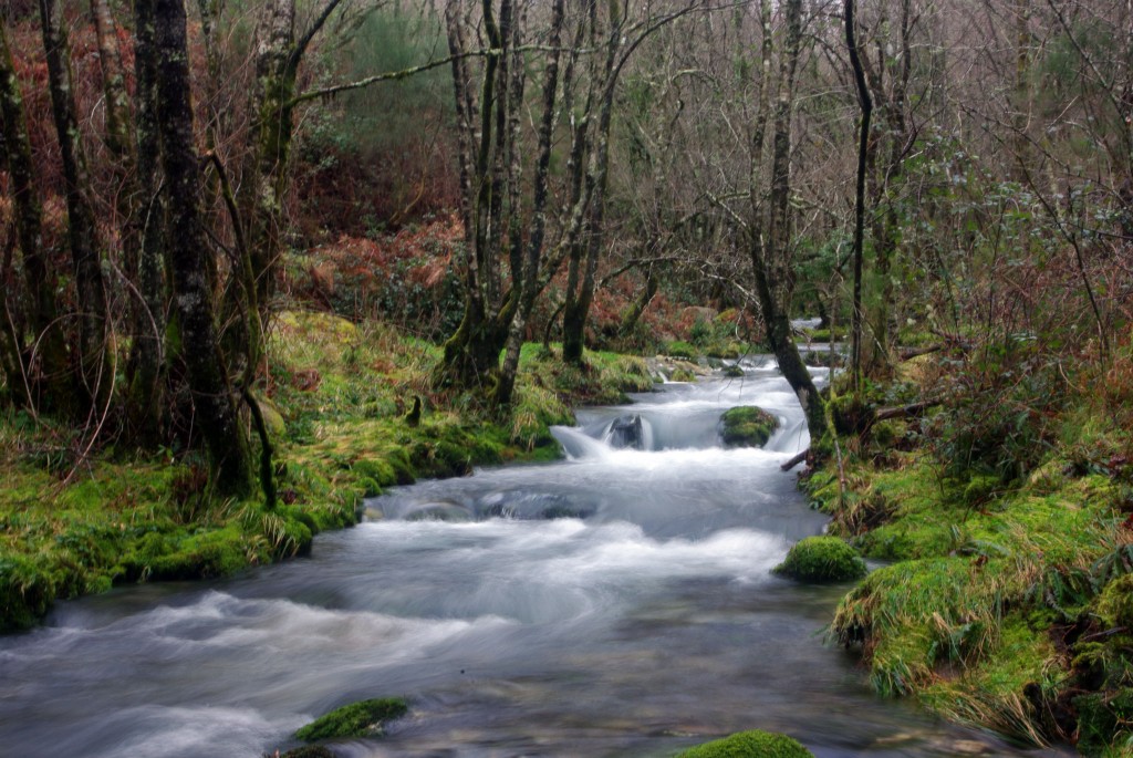 Foto de Covelo (Pontevedra), España