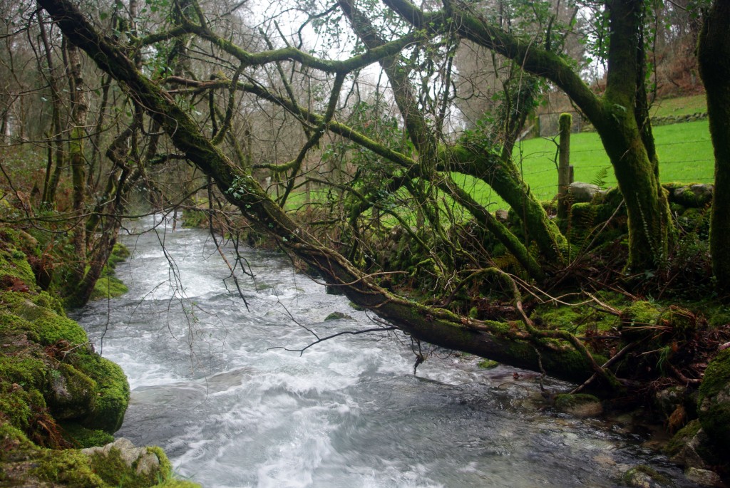 Foto de Covelo (Pontevedra), España