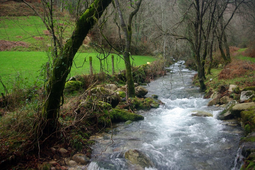Foto de Covelo (Pontevedra), España