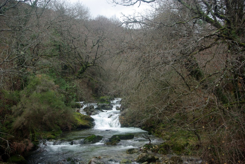 Foto de Covelo (Pontevedra), España