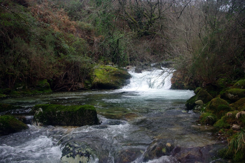 Foto de Covelo (Pontevedra), España