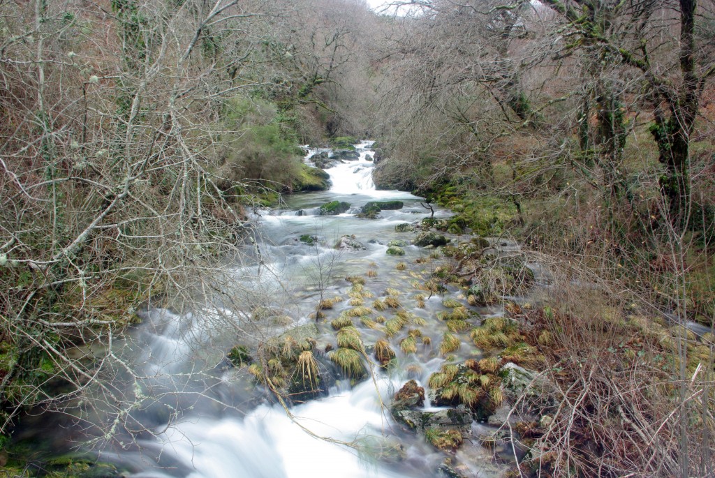 Foto de Covelo (Pontevedra), España