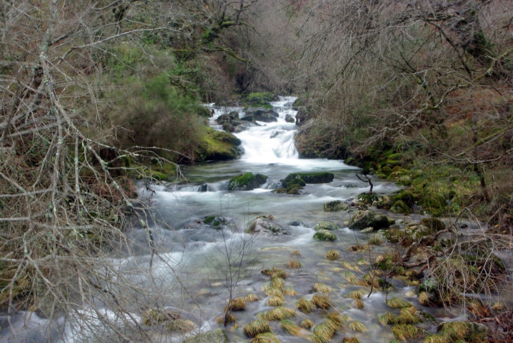 Foto de A Graña-Covelo (Pontevedra), España