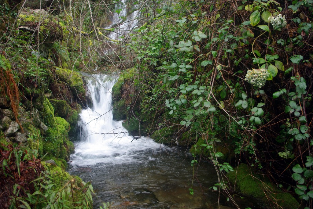 Foto de Covelo (Pontevedra), España