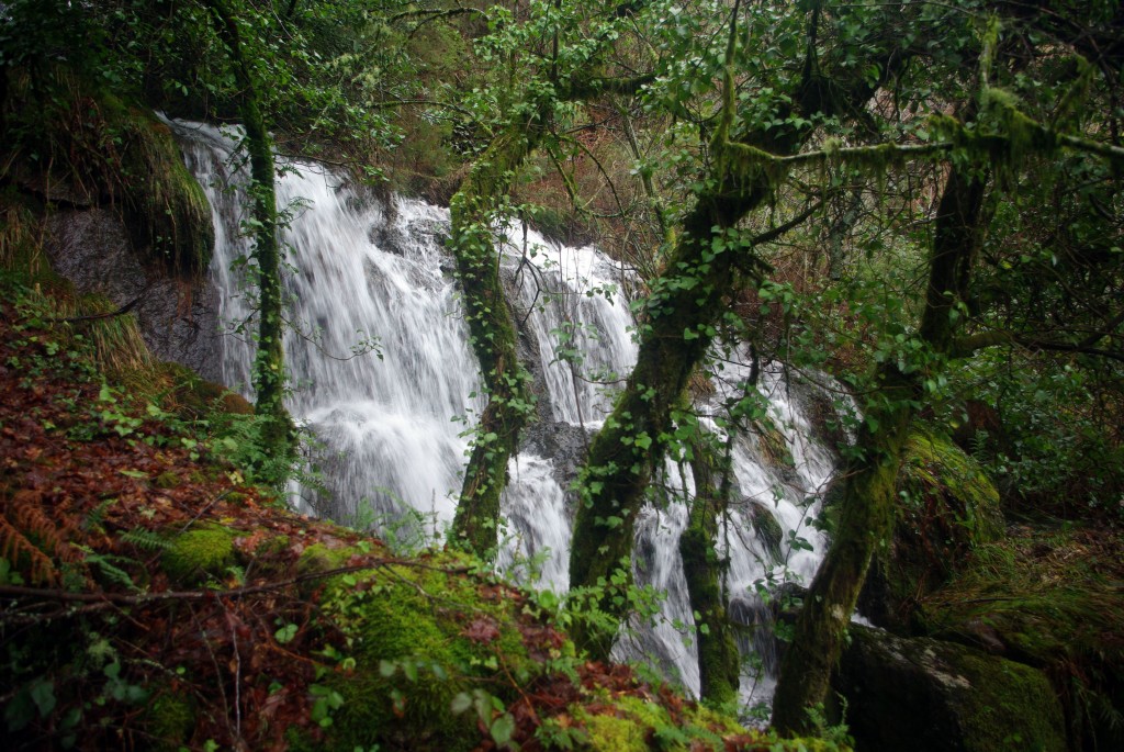 Foto de A Graña-Covelo (Pontevedra), España