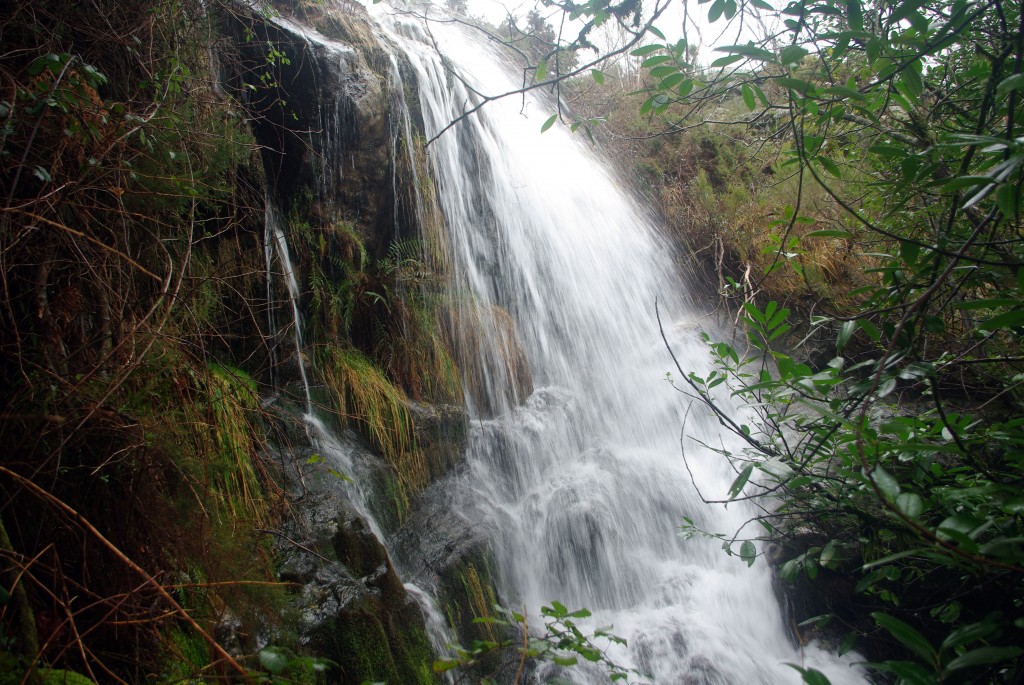 Foto de A Graña-Covelo (Pontevedra), España