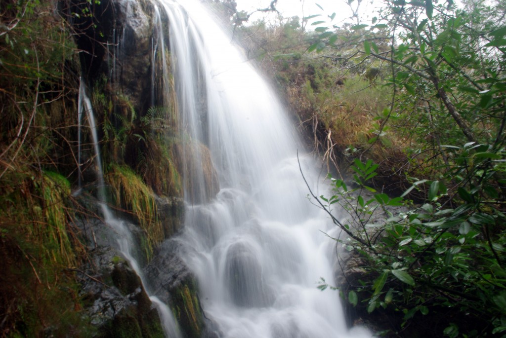 Foto de A Graña-Covelo (Pontevedra), España