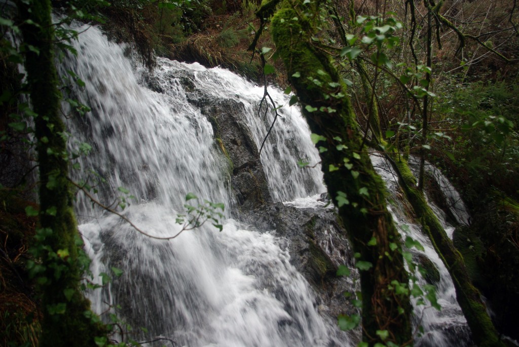 Foto de A Graña-Covelo (Pontevedra), España