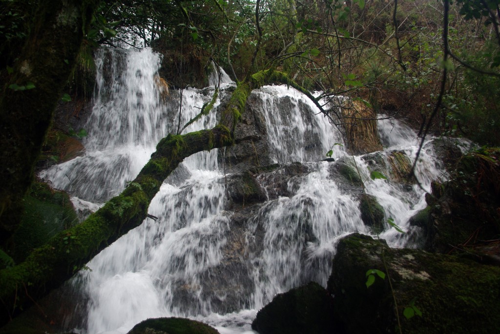 Foto de A Graña-Covelo (Pontevedra), España